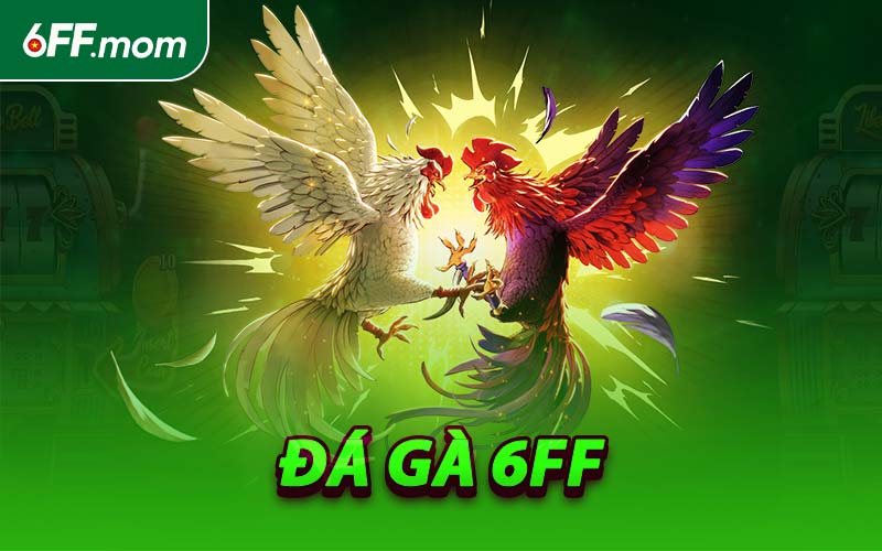 Đá Gà 6FF