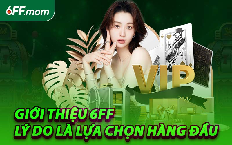Giới Thiệu 6FF – Lý Do Là Lựa Chọn Hàng Đầu