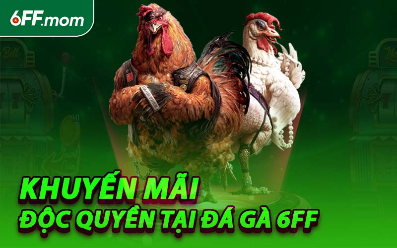 Khuyến Mãi Độc Quyền Tại Đá Gà 6FF